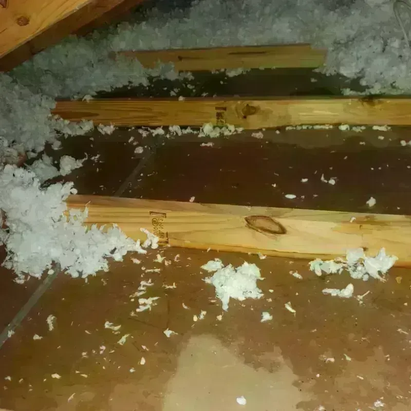 Attic Water Damage in Nolan County, TX