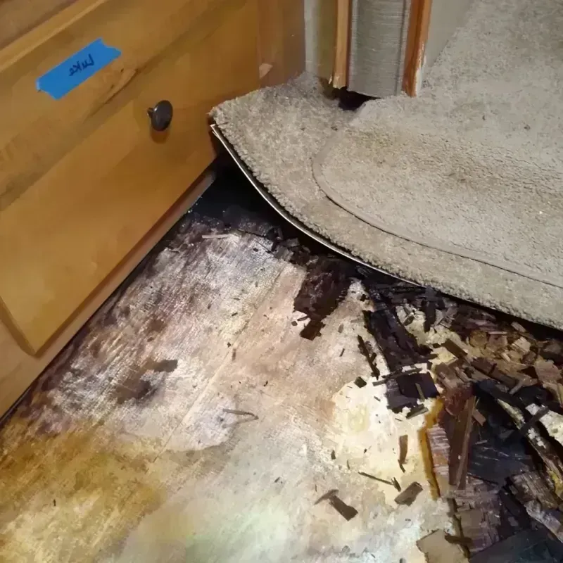 Wood Floor Water Damage in Nolan County, TX